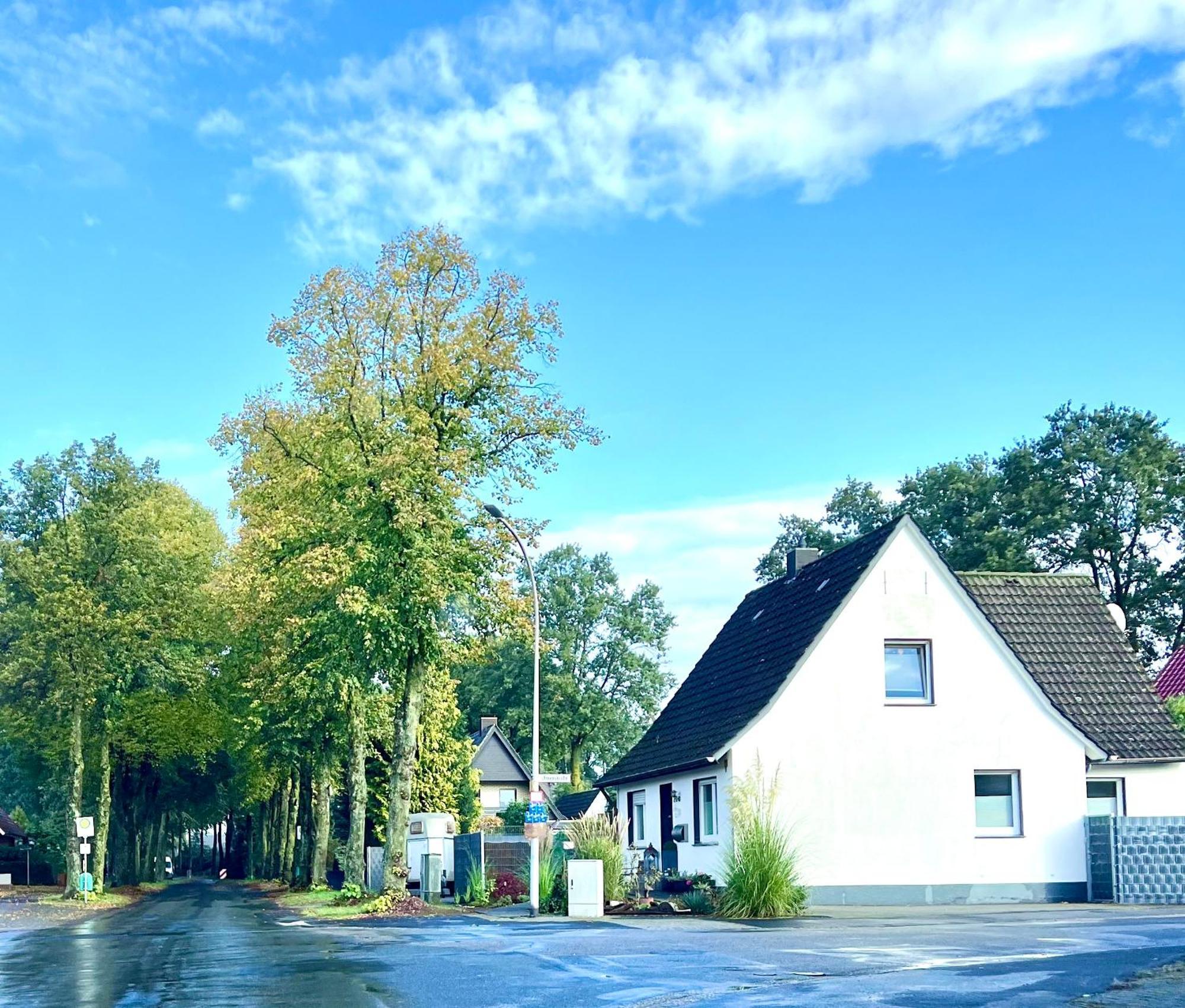 Allee Zum See Schuettorf Ngoại thất bức ảnh